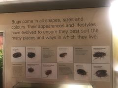 -墨尔本博物馆(Melbourne Museum)