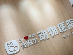 -宠颐生动物医院·猫科·心脏科(海口分院)