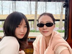 -合肥滨湖国家森林公园