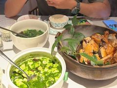 -桂满陇·海市蜃楼·黑金(国金店)