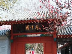 -桃花堤公园