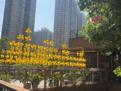 -瑞虹新天地月亮湾