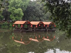 -侨美·唐荔园·40年地道粤菜