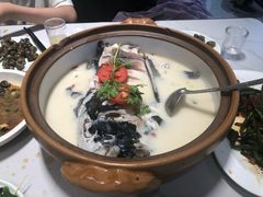 -全乐鱼馆·淳牌有机鱼直营店