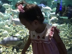 -成都浩海立方海洋公园