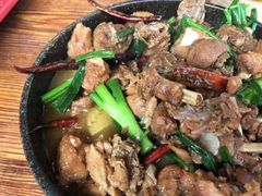 -马帮菜馆·美味野生菌
