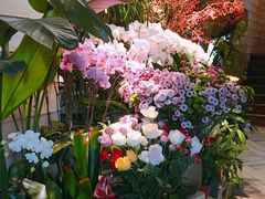 -春暖花开(西溪店)