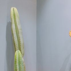 -和良形象