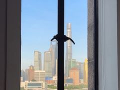 -上海和平饭店华懋阁 Cathay Room