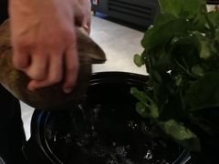 -东椰·海南椰子鸡火锅(朝阳门店)