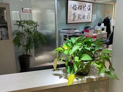 -上海政博律师事务所