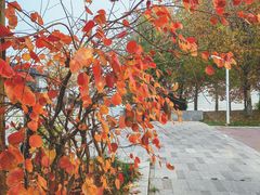 -灞河西岸滨河公园