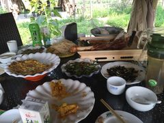 -草根堂农场