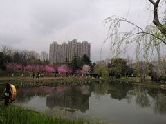 -堤角公园