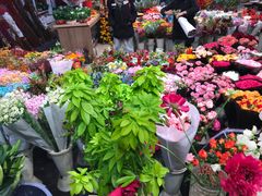 -双季花艺园艺市场(浦东店)