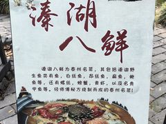 -溱湖国家湿地公园