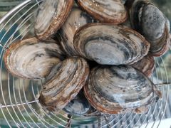北极贝-蓝珊甄选海鲜自助·火锅大排档(近阿那亚店)