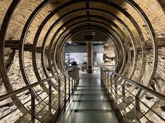 -乐山乌木文化博览苑