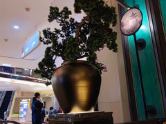 -新白鹿餐厅(金鹰新街口店)