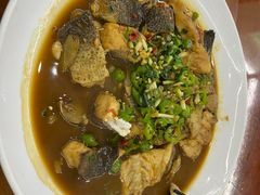 -全乐鱼馆·淳牌有机鱼直营店