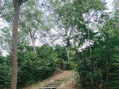-南翠屏公园