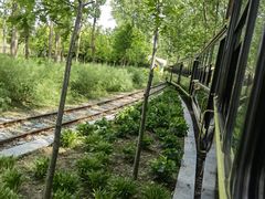 -合肥滨湖国家森林公园