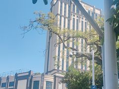 -惠州康帝国际酒店