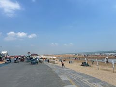 -日照海滨国家森林公园