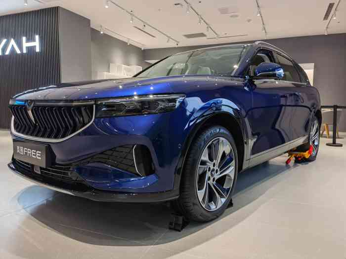 voyah岚图空间(汉街万达广场店)