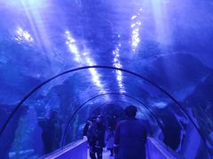 -台州海洋世界