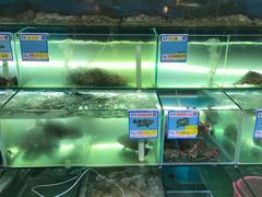 水产区-琼大师东方烤乳猪(亚特兰蒂斯店)