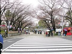 -名古屋城