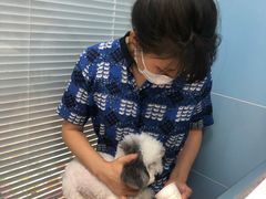 -北京博爱动物医院有限公司