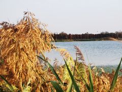 -启东黄金海滩景区