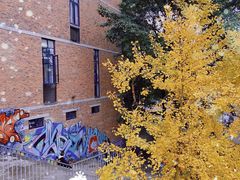 -四川美术学院美术馆