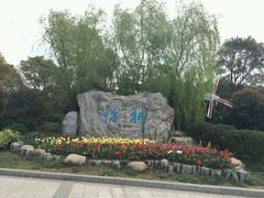 android_upload_pic-上海鲜花港