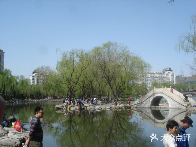 紫竹院公园冰场图片