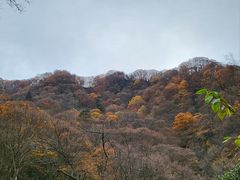 -光雾山旅游景区
