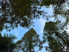 -绍兴东湖风景区