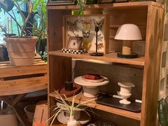 -自由生长植物工作室(深港花卉中心店)