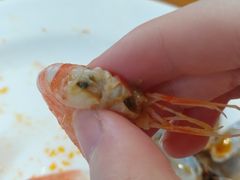 -重庆南山海昌汤都