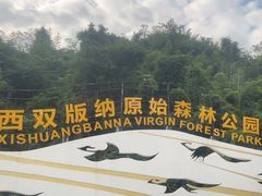 -西双版纳原始森林公园