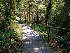 -宁波五龙潭景区