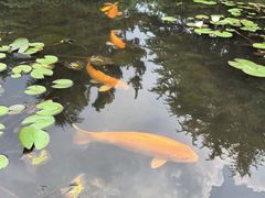-白马涧龙池景区