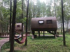 -黄海国家森林公园