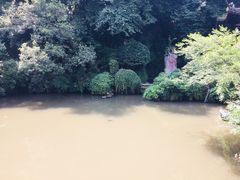 景点-杭州黄龙洞