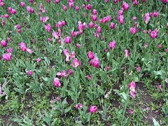 -长春公园(普阳街道)