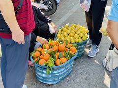 -新鸿港水果市场