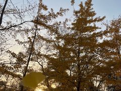 -森林公园(尖草坪区)