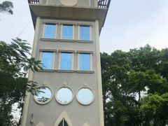 -银湖山郊野公园-相思林